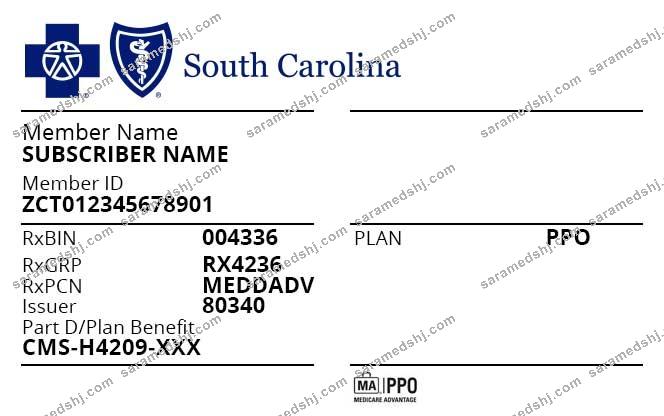 USA South Carolina health insurance card